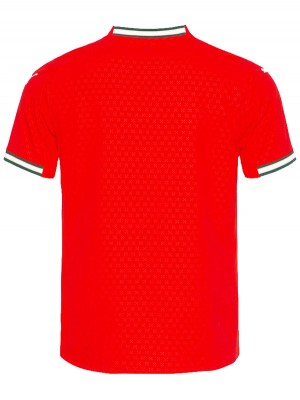 Portugal maillot domicile uniforme de football adulte kit de football pour hommes premier haut chemise de sport 2025-2026